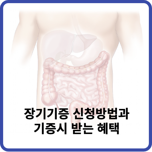 장기기증 신청방벙과 받는 혜택