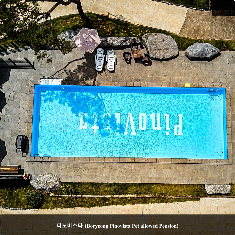 피노비스타 (Boryeong Pinovista Pet allowed Pension)_1