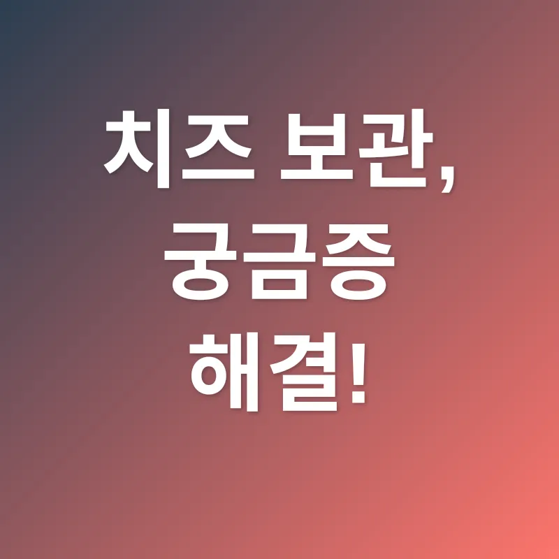 치즈 보관_4