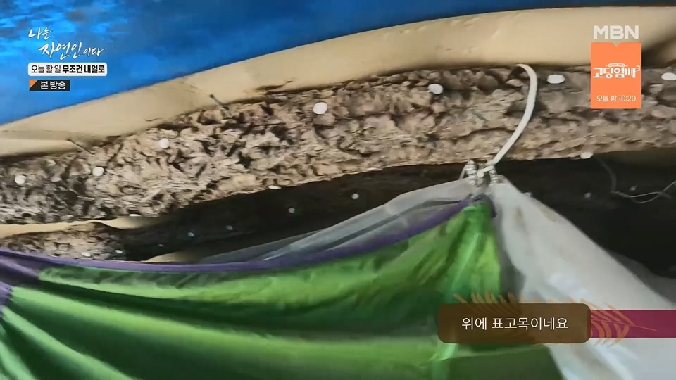 나는 자연인이다.E562.230712p.H264-F1RST.mp4_20230713_204719.580.jpg