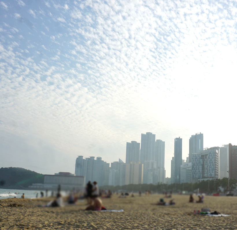 해운대시장 해운대 골든튤립호텔 20