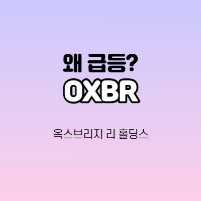  OXBR - 어떤 기업인가요?  800% 상승한 나스닥기업