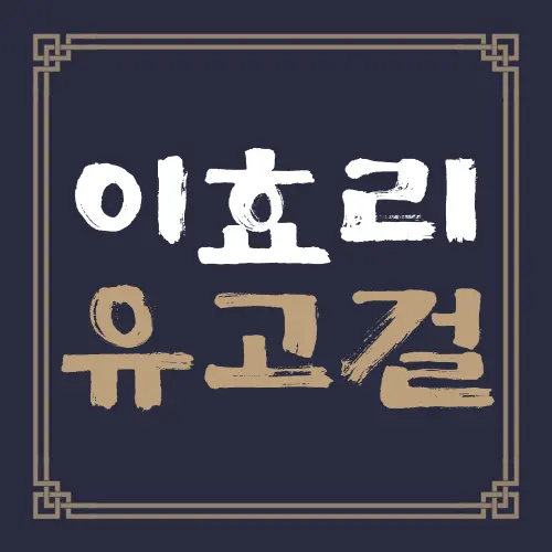 이효리 유고걸