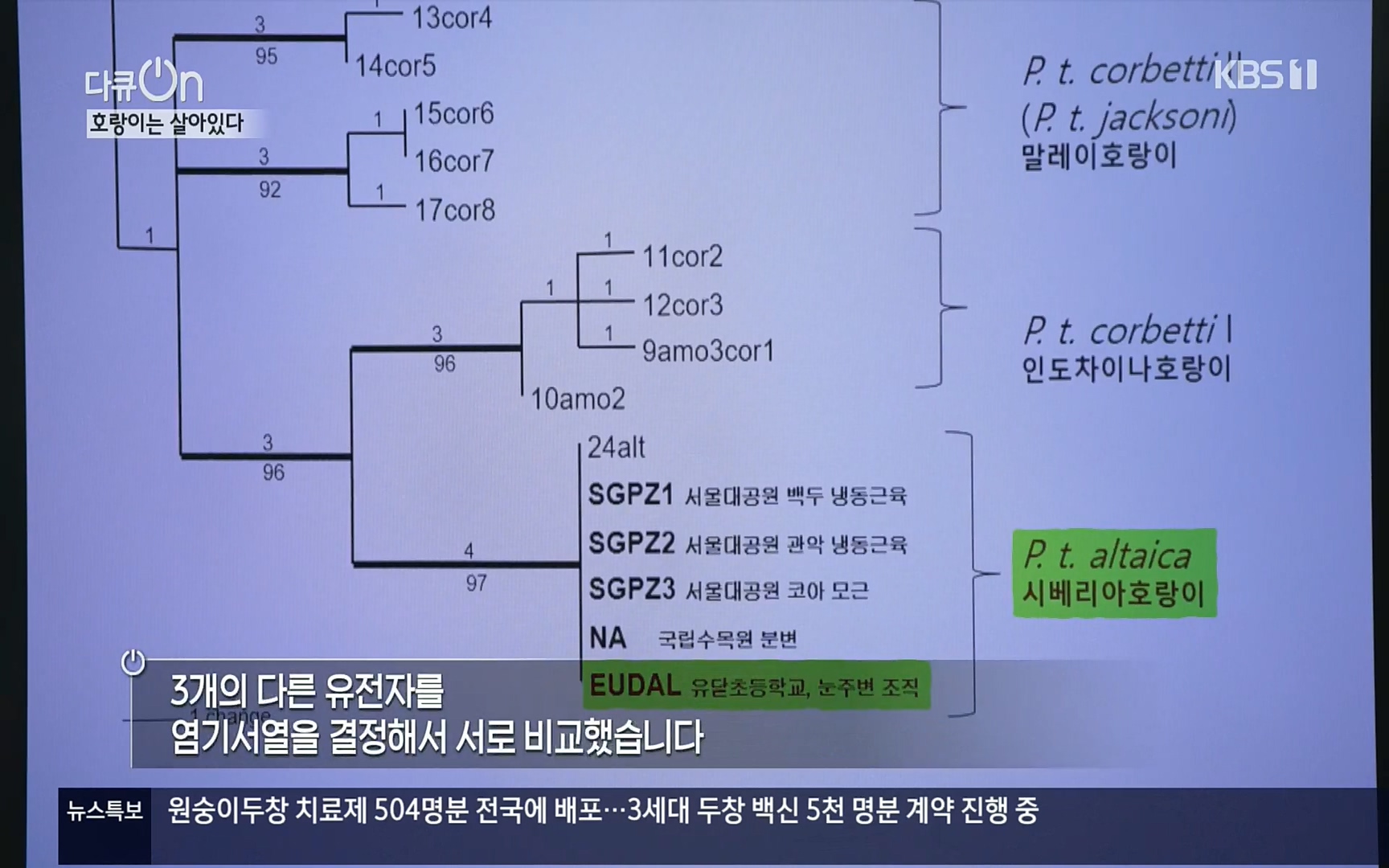 다큐 On.E150.220729p.H264-F1RST.mp4_20220730_164048.547.jpg