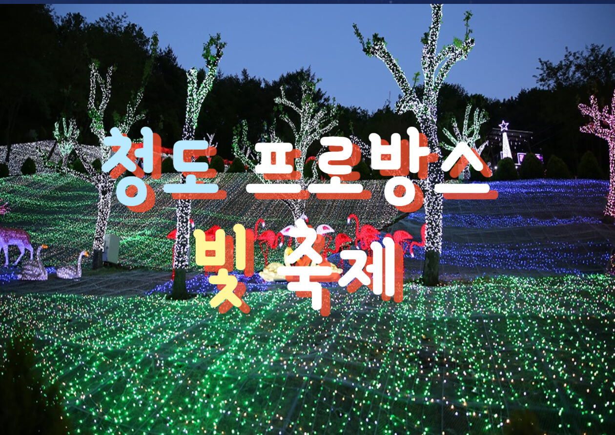  청도 프로방스 빛축제 입장료 (주차, 프로그램)
