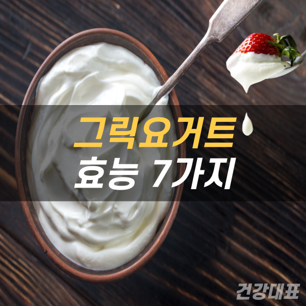 요거트 그릭요 이미지