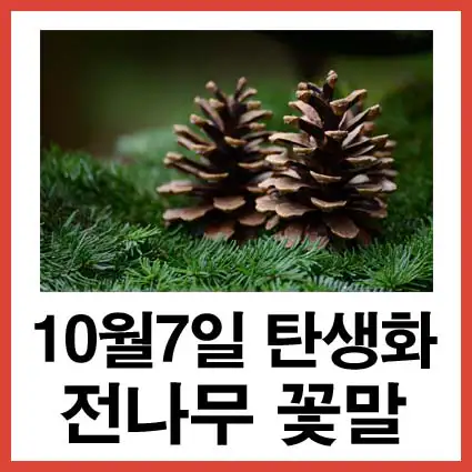 10월-7일-탄생화-전나무-꽃말
