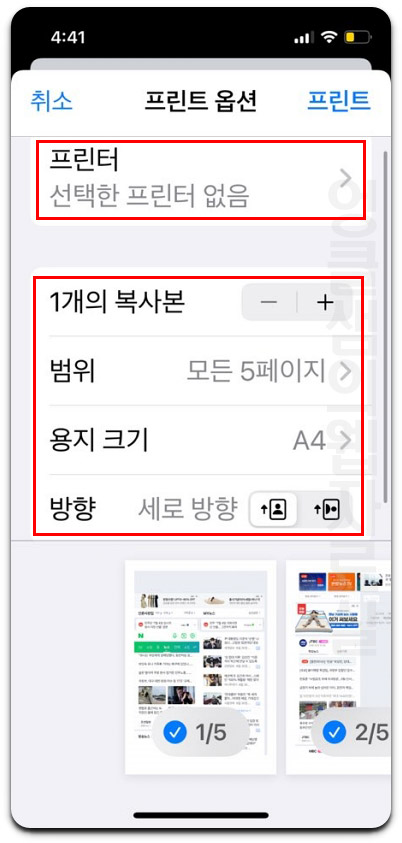 사파리 프린트 옵션