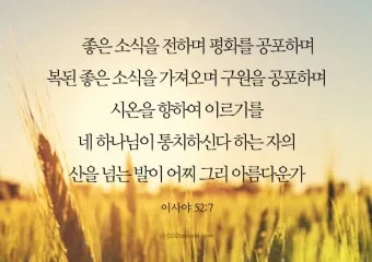 마음의 평화를 찾게 해주는 성경 말씀 평화 위로_7