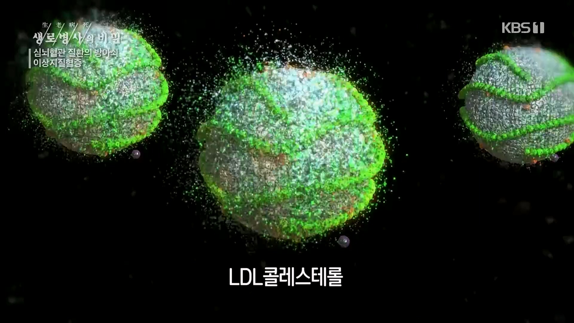 생로병사의 비밀.E862.230329p.H264-F1RST.mp4_20230330_203224.295.jpg