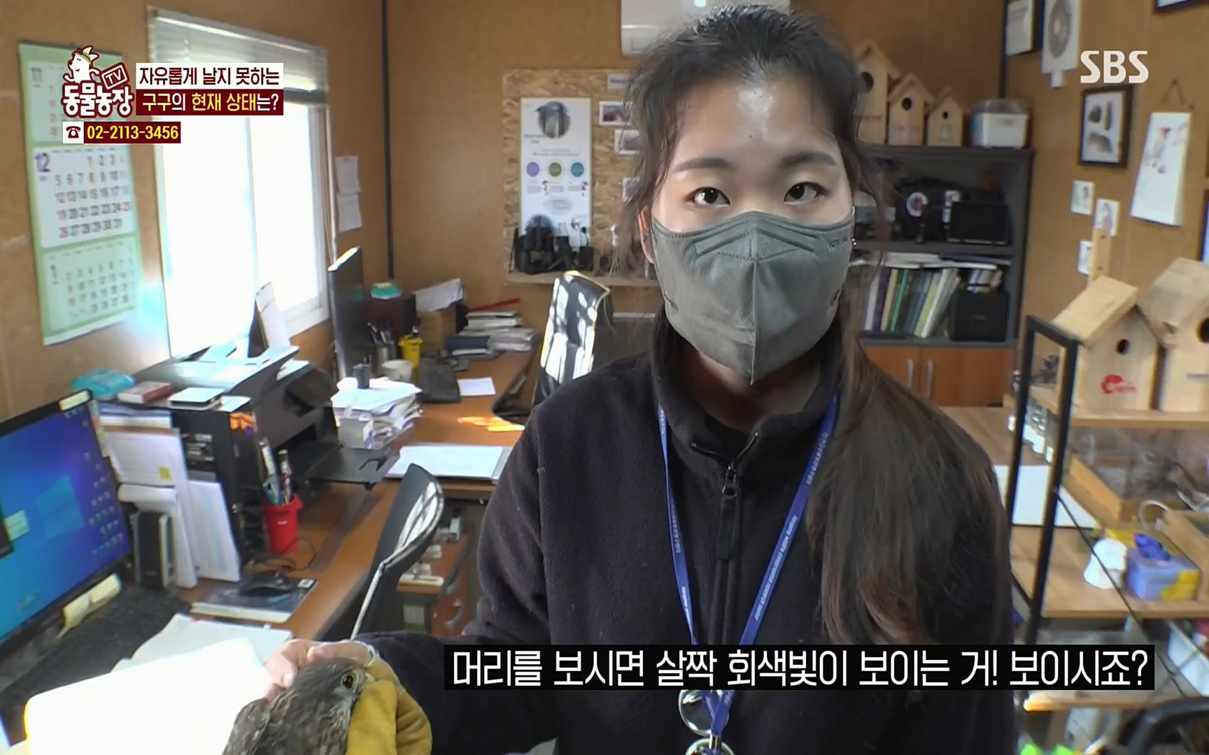 TV 동물농장.E1061.220320p.H264-F1RST.mp4_20220320_183600.119.jpg