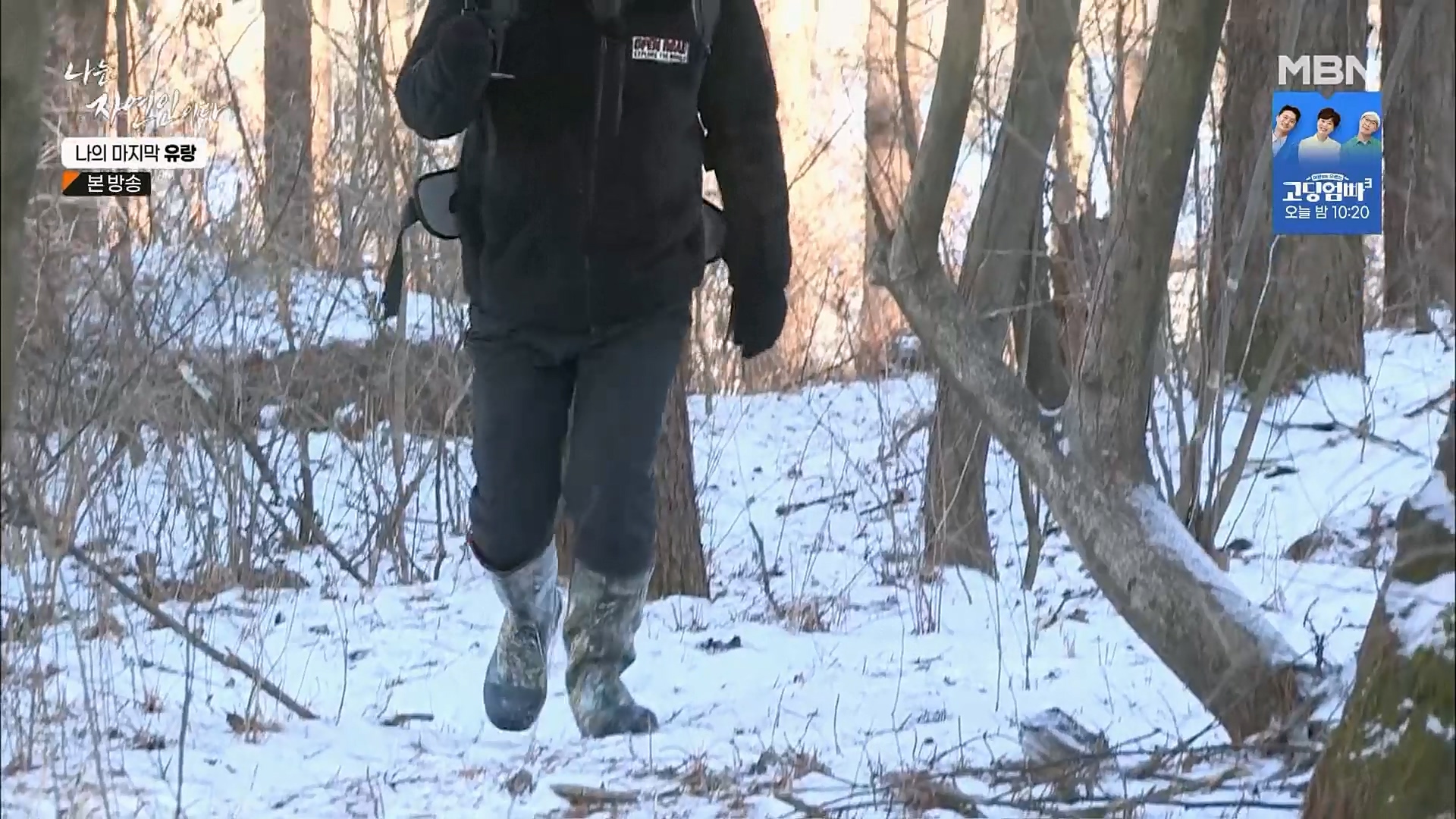 나는 자연인이다.E541.230215p.H264-F1RST.mp4_20230216_192648.433.jpg