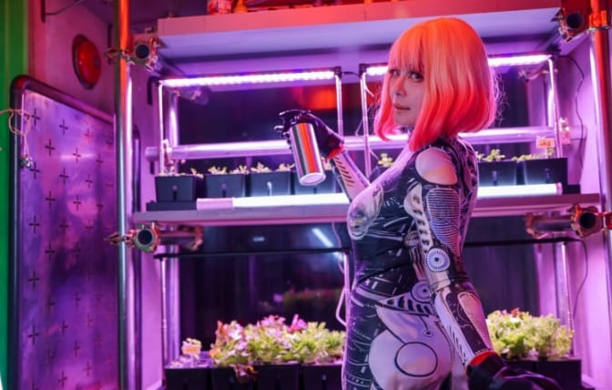 일본 사이버펑크 레스토랑&#44; 해마로 만든 진공 포장 버거와 사케 제공 Cyberpunk Restaurant in Japan Serves Vacuum-Packed Burgers and Sake Made From Seahorses