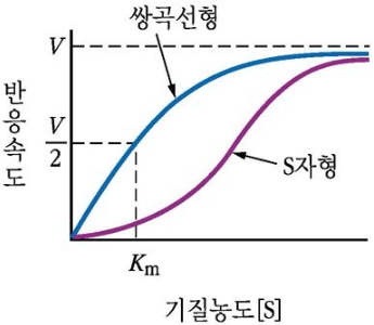 출처: 생명과학대사전