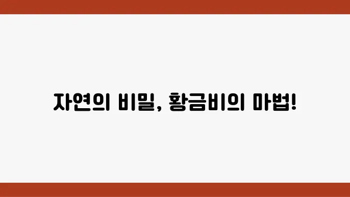 자연에서 발견되는 황금비 물리학쫄 나의 융합