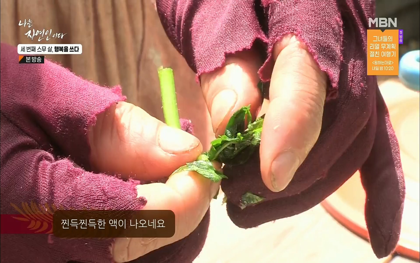 나는 자연인이다.E516.220824p.H264-F1RST.mp4_20220825_164137.362.jpg