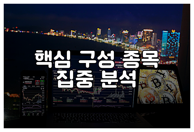 핵심 구성 종목 집중 분석