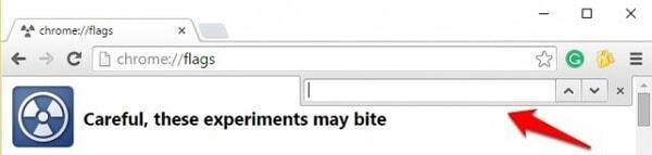 크롬 플래그에서 검색하기
