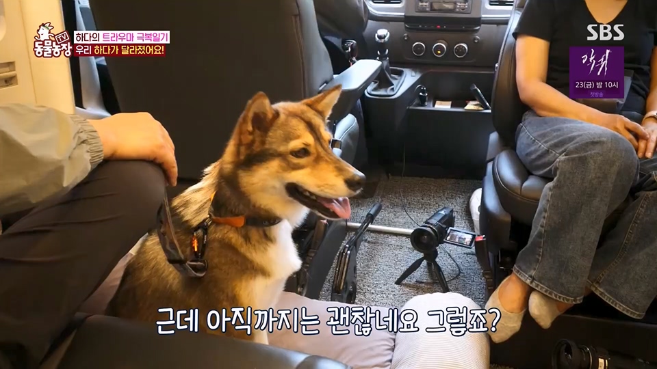 TV 동물농장.E1125.230618p.H264-F1RST.mp4_20230618_192130.050.jpg
