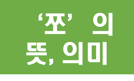  쪼의 뜻, 의미, 유래(어원), 사용처(ex. 배우의 쪼, 수영의 쪼, 개그맨의 쪼)