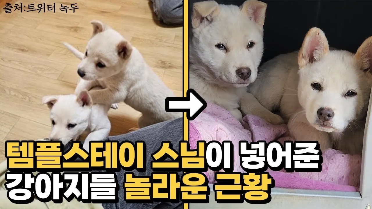 자연 속 템플스테이 베스트 10 (내소사 백담사 숨겨진 명사찰)_6