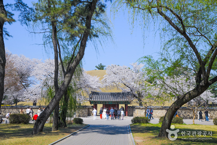 경주 가볼만한 곳 베스트 10 (2025 최신판)