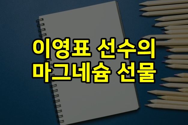  이영표 선수의 마그네슘 선물