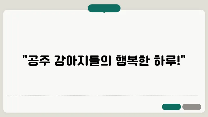 강아지보호소 활기차게 자라입니다