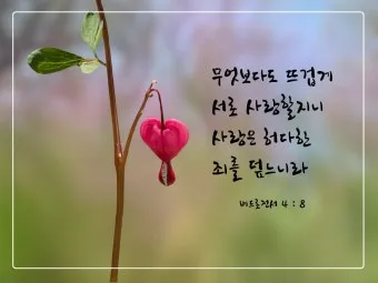 베드로전서 4장 청지기의 비유 성경 묵상_23