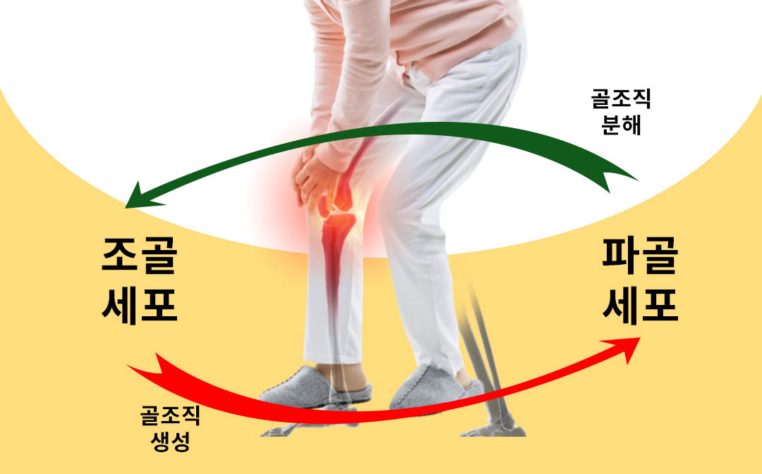  흑염소진액의 효능 :: 골다공증 뼈건강 지킴이