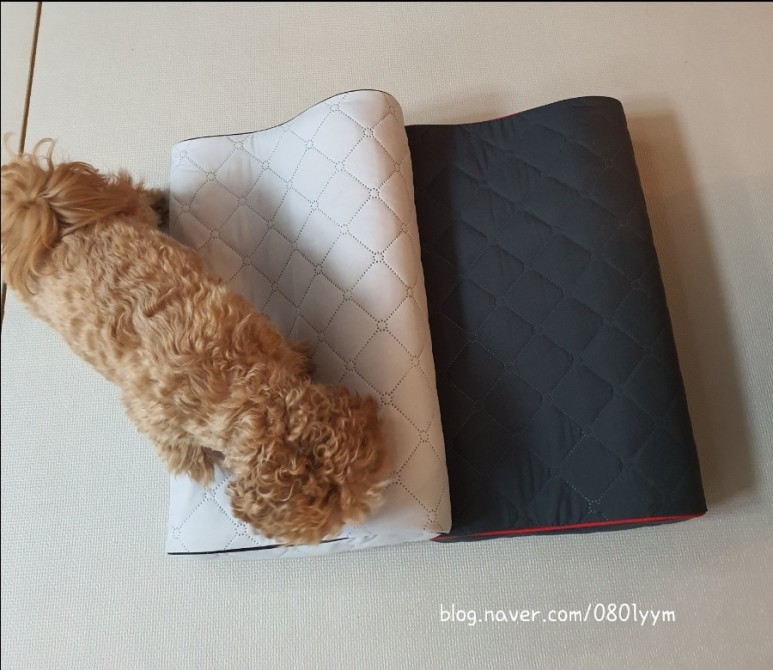 오빠베개 후기 [캠핑홀리데이]레드썬 4