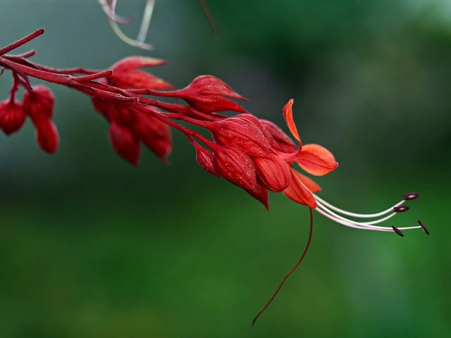 원예학