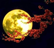  설/추석 최대의 난재 차례상 차리는 법