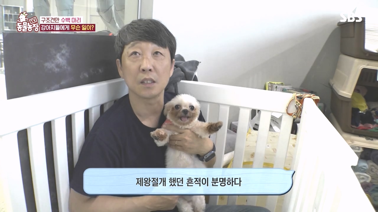 TV 동물농장.E1142.231023p-NEXT.mp4_20231022_171803.096.jpg