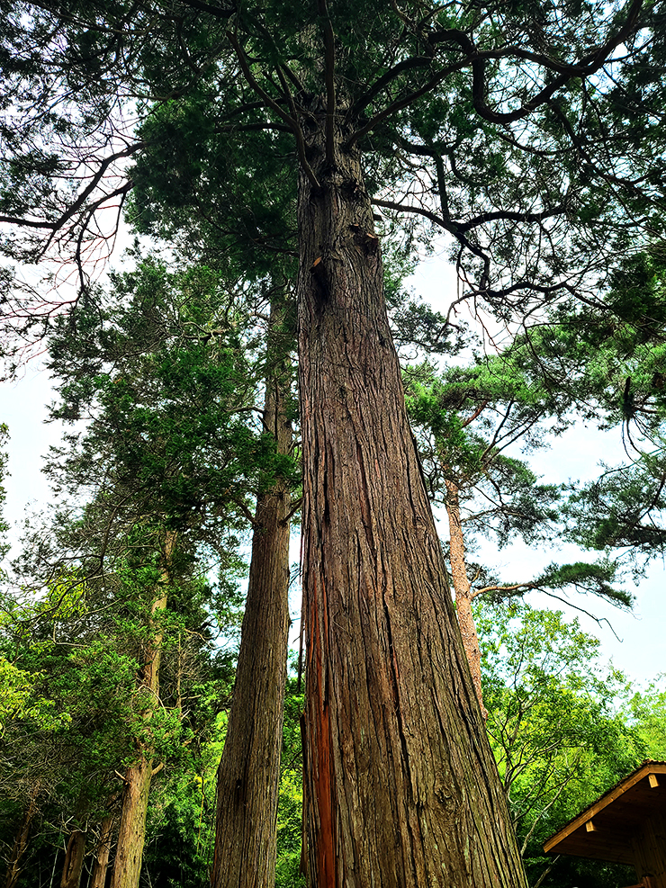 충남 걷기 좋은 숲길 국내여행 걷기 좋은 길, 30