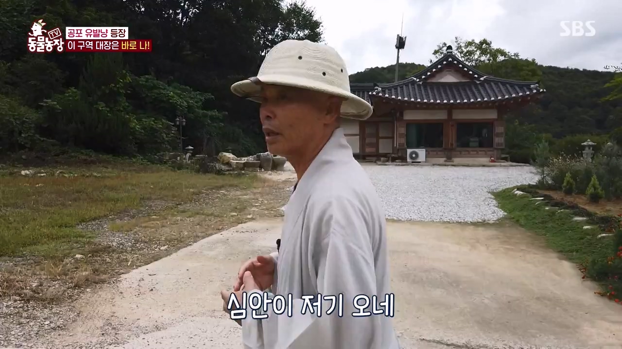 TV 동물농장.E1143.231030p-NEXT.mp4_20231029_164050.142.jpg