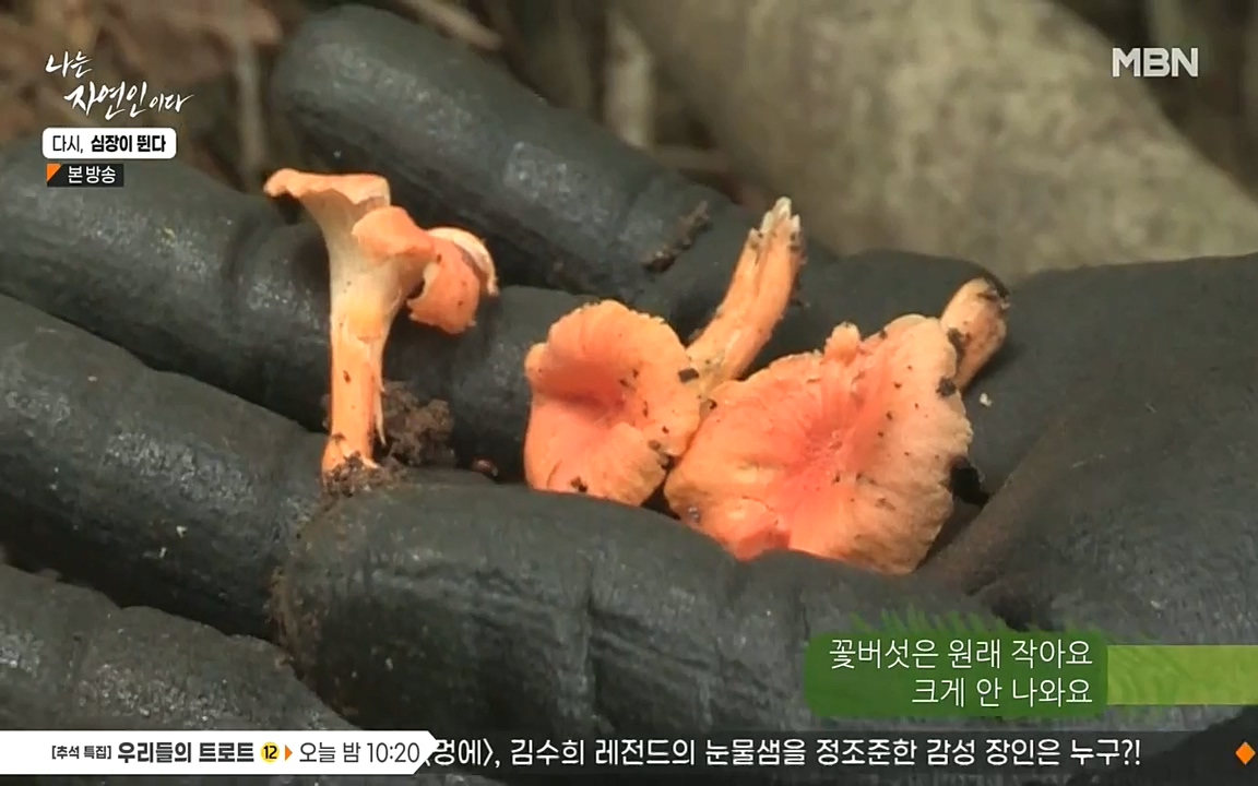 나는 자연인이다.E519.220915p-NEXT.mp4_20220915_194518.932.jpg