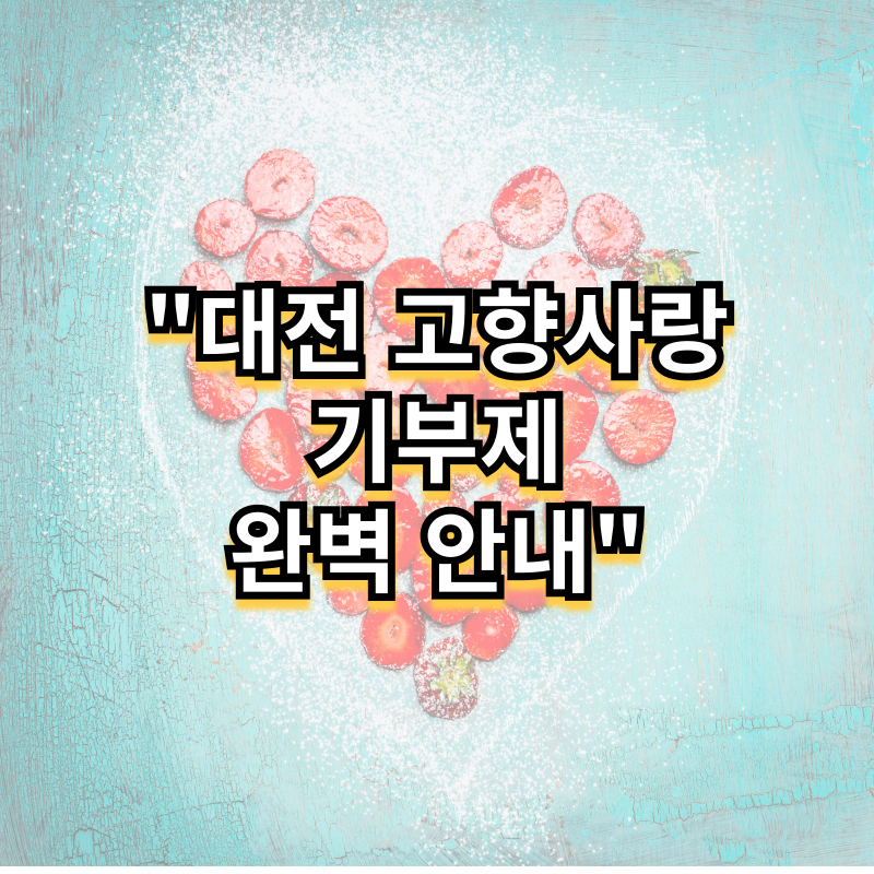 대전 고향사랑기부제 완벽안내!