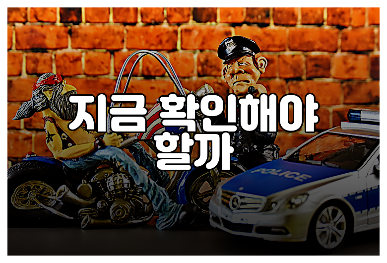 지금 확인해야 할까