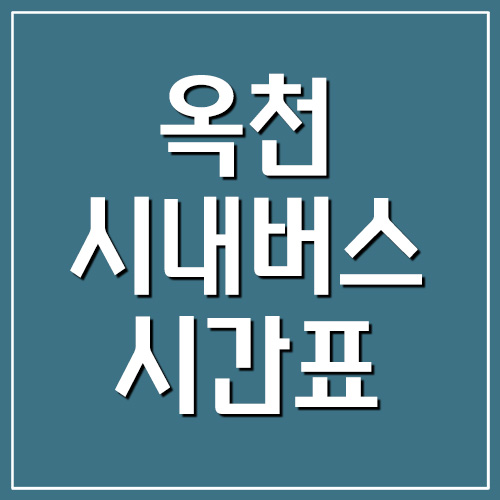  옥천 시내버스 시간표
