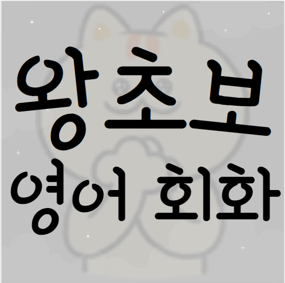  수성구 기초 일대일 성인 영어회화 주부 직장인 유아 비즈니스 일상 여행 영어회화
