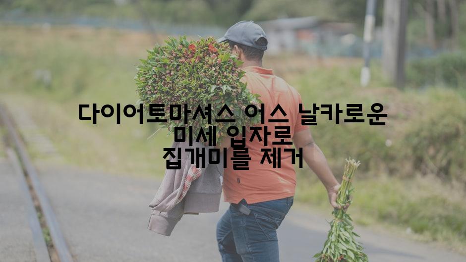 다이어토마셔스 어스 날카로운 미세 입자로 집개미를 제거