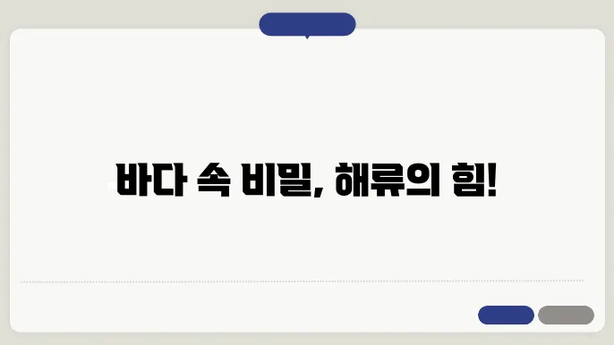 해양 유체역학과 해류 분석