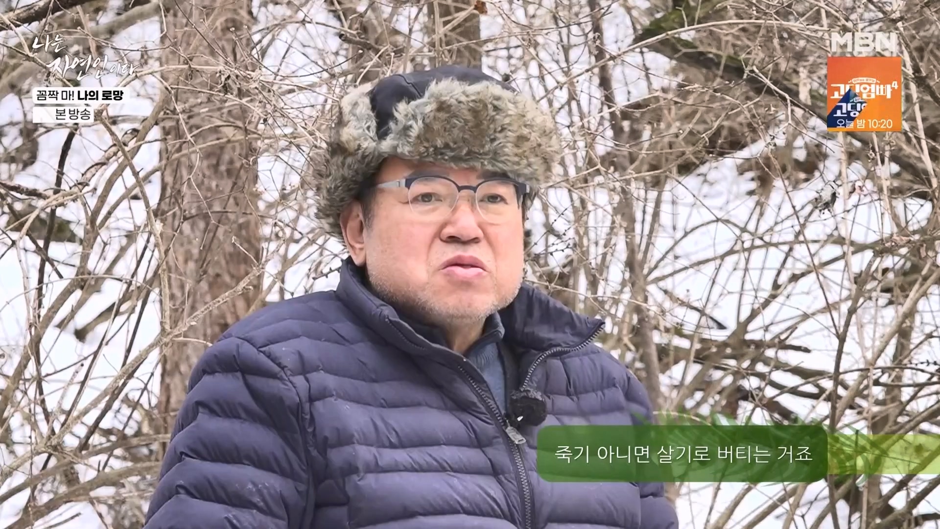 나는 자연인이다.E598.240320p-NEXT.mp4_20240321_202632.791.jpg