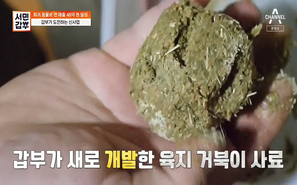 서민 갑부.E381.220431p-NEXT.mp4_20220501_180723.306.jpg