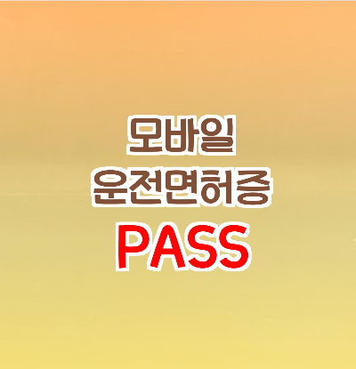  PASS 모바일 운전면허증