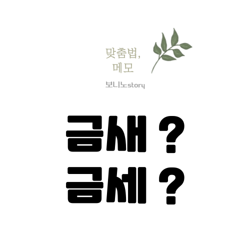 맞춤법-메모-금새-금세-사진