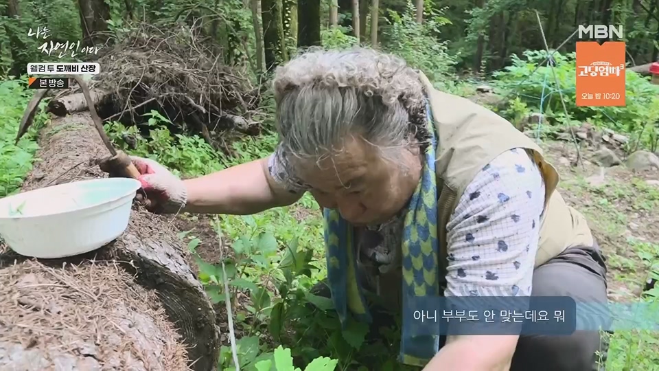 나는 자연인이다.E563.230719p.H264-F1RST.mp4_20230720_214645.757.jpg