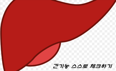  간기능 이상 증상, 간 기능 스스로 체크하기!!