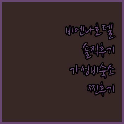 비엔나 인터내셔널 호텔 솔직 후기 가
